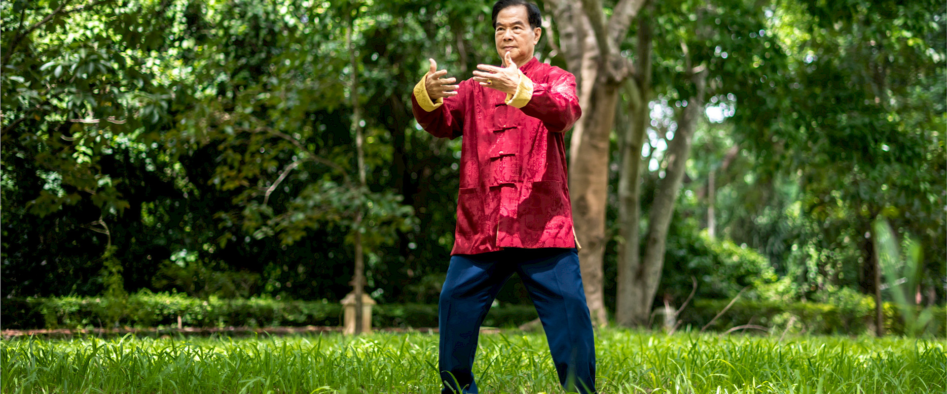 Erlerne die Techniken der Internal Martial Arts