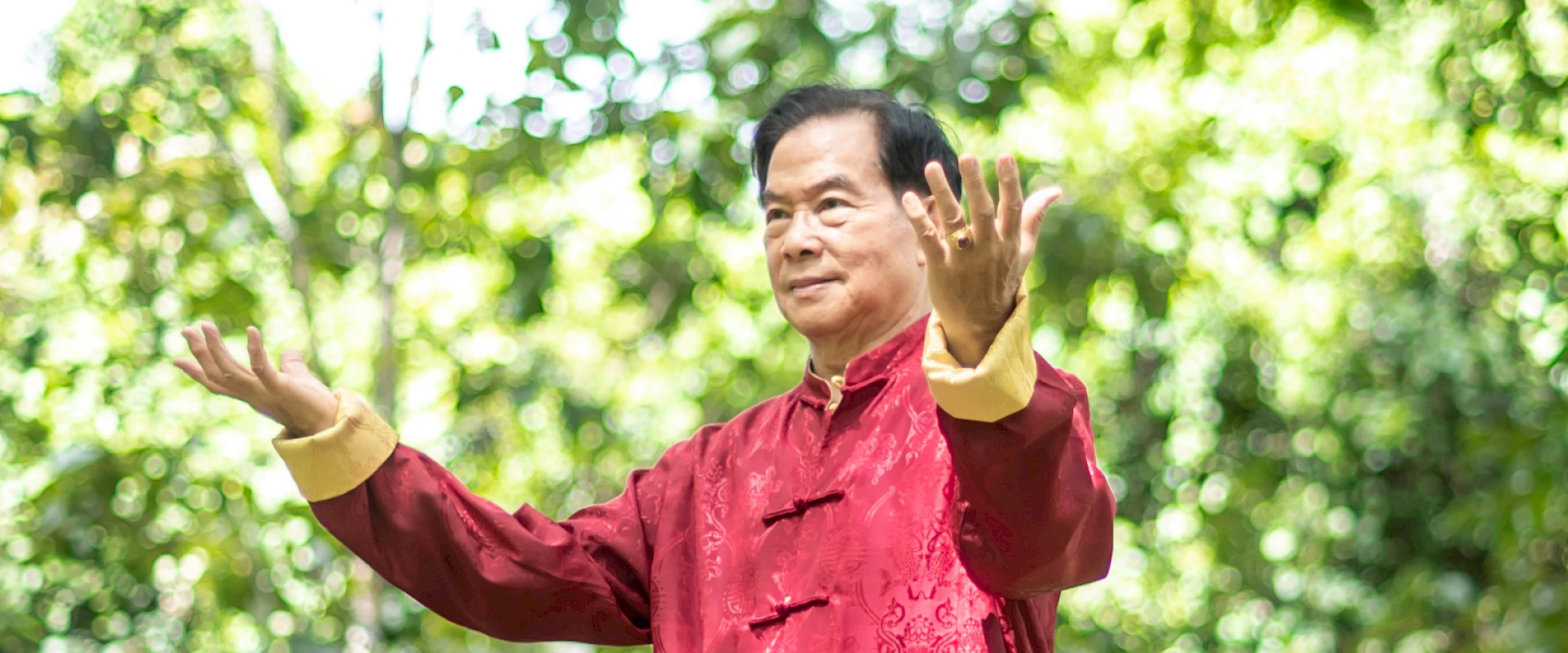 Alle Kurse mit Mantak Chia