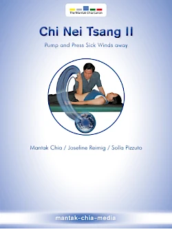 Chi Nei Tsang&reg; II - Pump and Press the Sick Winds Away