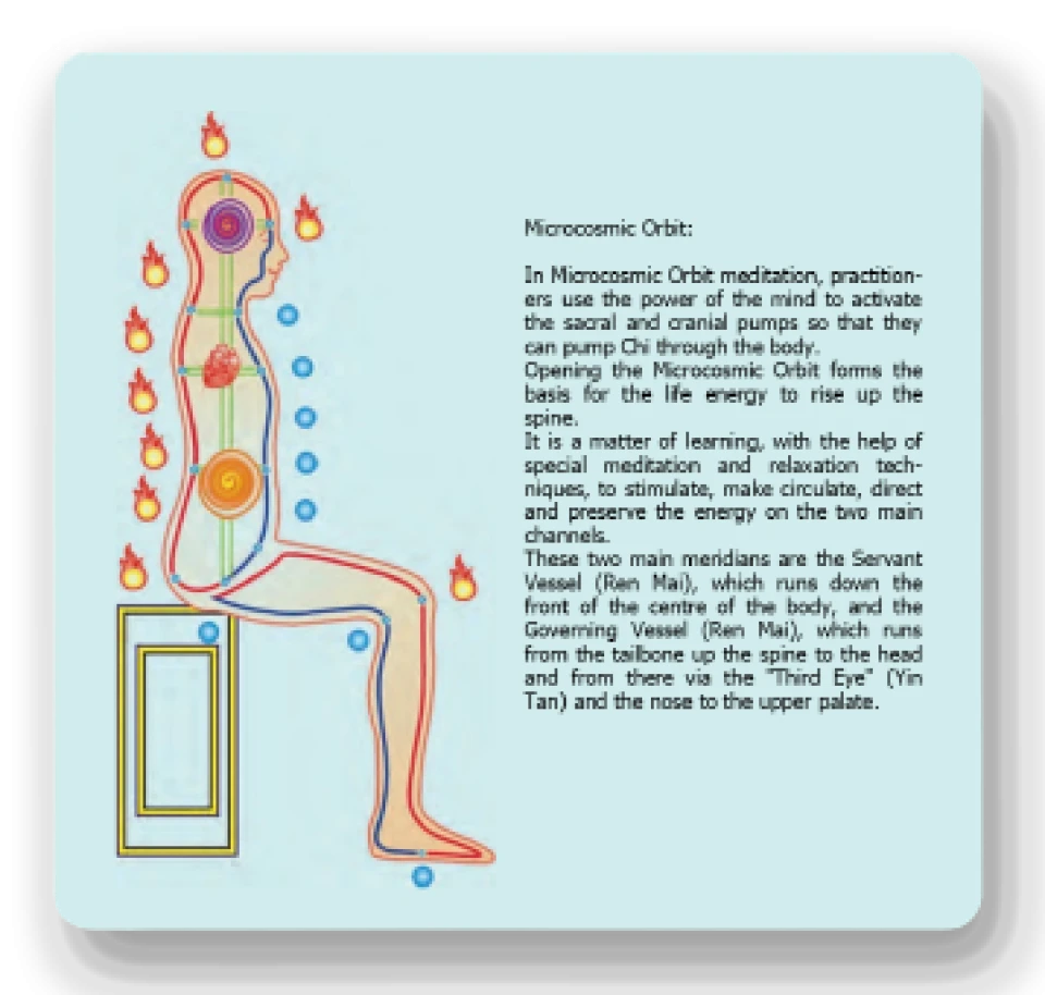 The human energy system