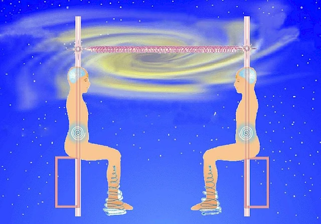 What is a Cosmic Network