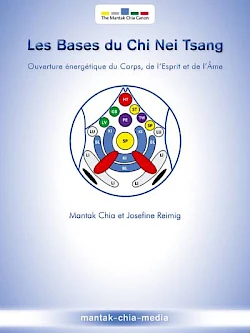 Le Bases Du Chi Nei Tsang&reg; (Druckausgabe)