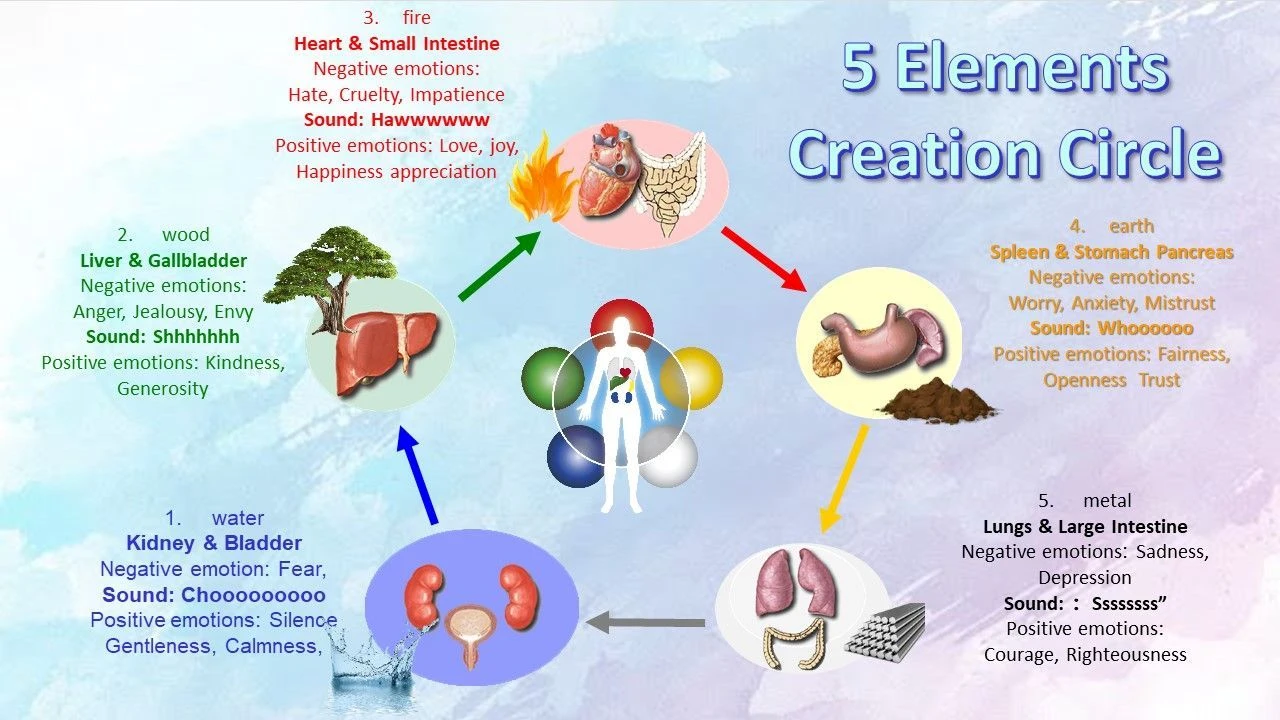 Organe, die 5 Elemente, Seele und den Geist
