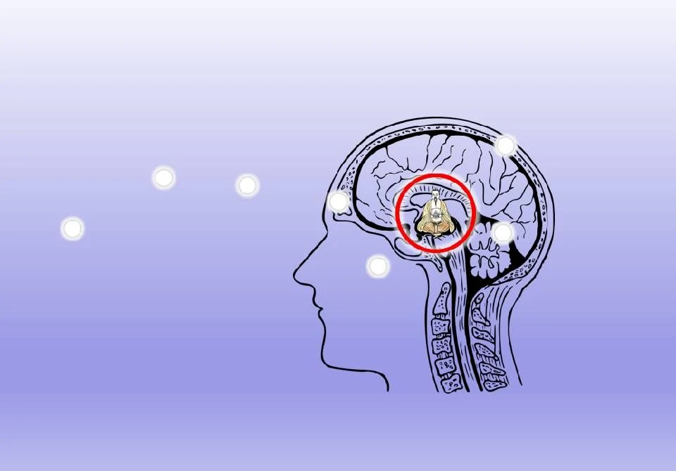 Die Innere Alchemie und der unsterbliche K&ouml;rper