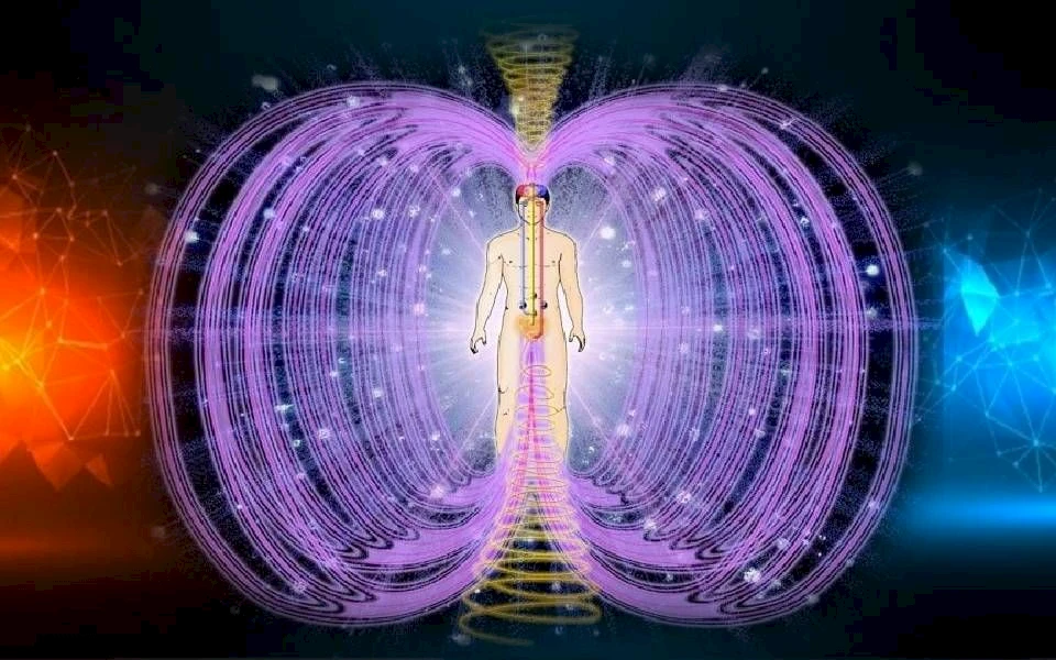 Die Kleinere Erleuchtung