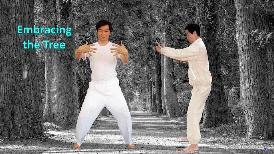 Reiterstand und Den Baum Umarmen