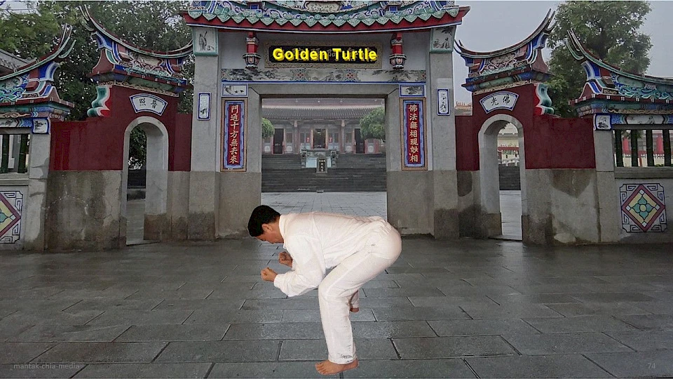 Goldene Schildkr&ouml;te (Yang-Position) & Wasserb&uuml;ffel (Yin-Position)