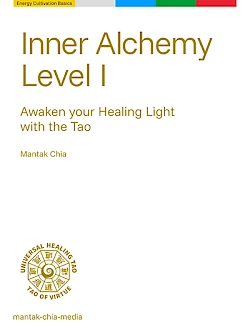 Inner Alchemy Level 1