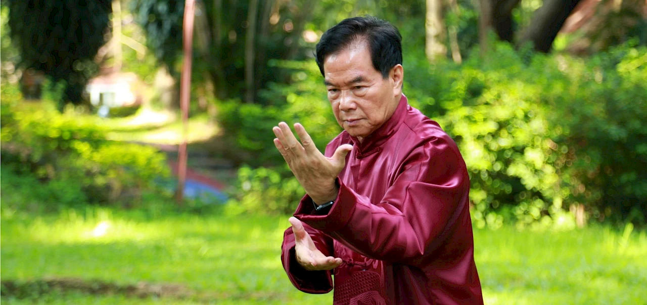 Eventually, the limitations of the physical body are more and more dissolved by the accelerated evolution of the Spiritual Body and the Spiritual Mind