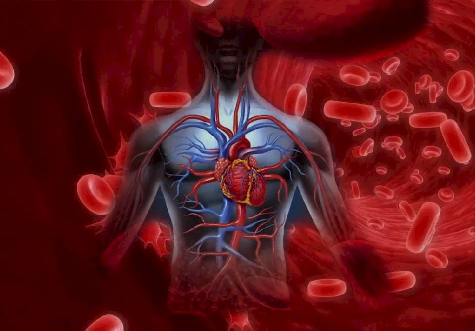 Live Pulses - Chi Nei Tsang&reg; V